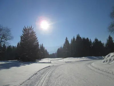 traumhafte Loipen