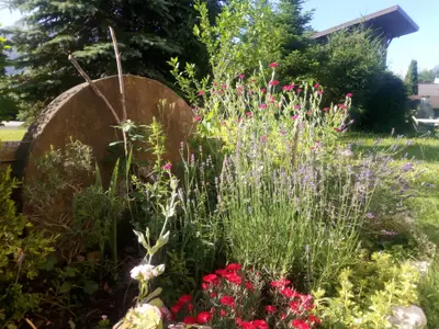 Sommer !