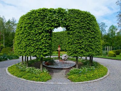 Herzstück des Gartens: der Hainbuchenkreisel