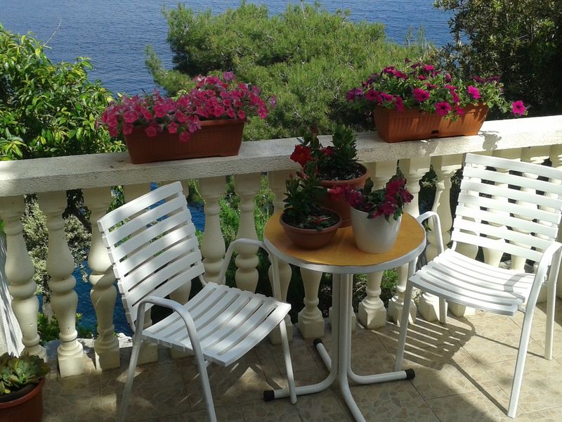 23932932-Studio-2-Mljet-800x600-0