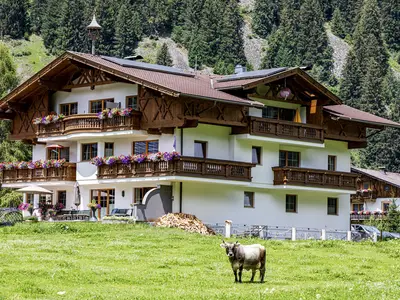 Aussenansicht Sommer