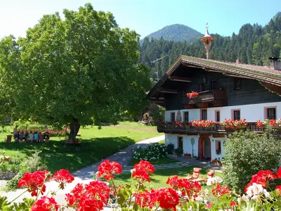 Haus Sommer neu