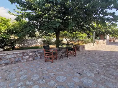 GardenSummer