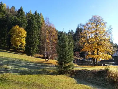 Im Herbst