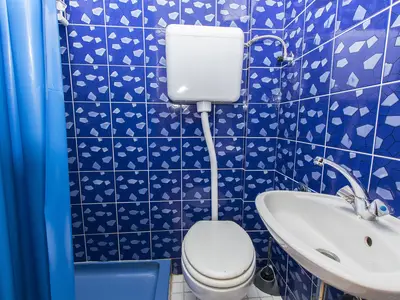 toilet
