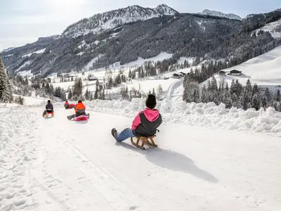 Rodeln beim Griesbauer