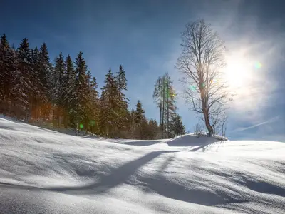 Winterlandschaft beim Griesbauer