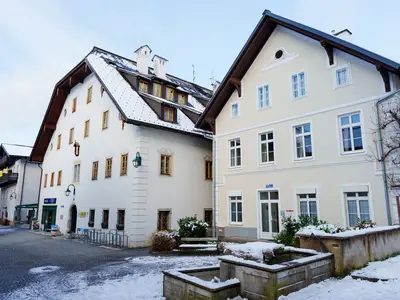 Studio für 3 Personen (27 m²) in Bad Goisern 1/6