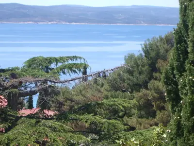 Studio für 3 Personen (25 m²) in Baska Voda 3/10