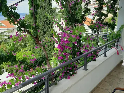 Studio für 3 Personen (25 m²) in Baska Voda 5/10