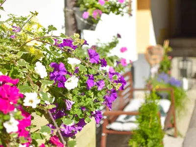 haus_franzi_haus_so-9