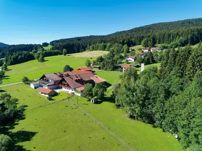 Happy Hirsch Restaurant und Hotel Hirschenstein