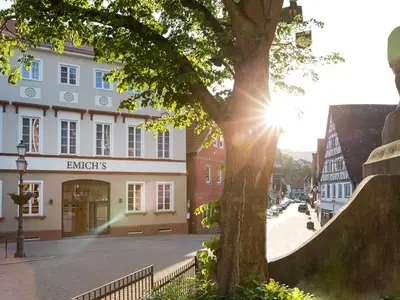 Suite für 1 Person (40 m²) in Amorbach 1/10