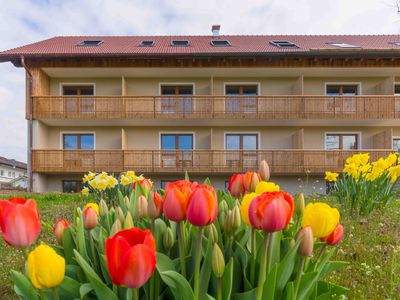 Chalet An der Brunnader Gartenansicht