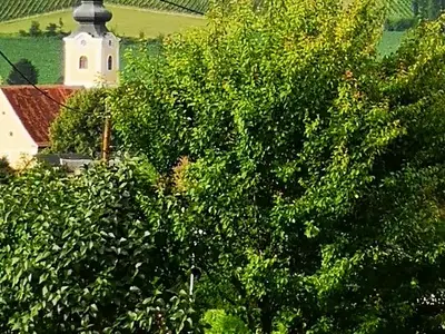 Suite für 2 Personen (34 m²) in Bad Waltersdorf 2/10
