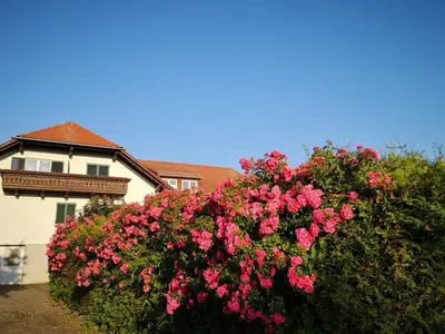 Suite für 2 Personen (34 m²) in Bad Waltersdorf 4/10