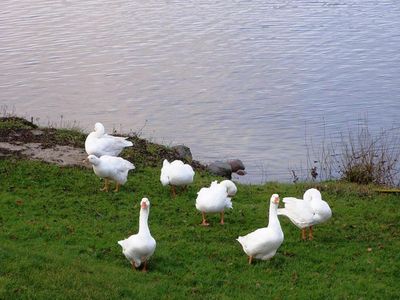 Suite für 2 Personen in Bösdorf 2/7