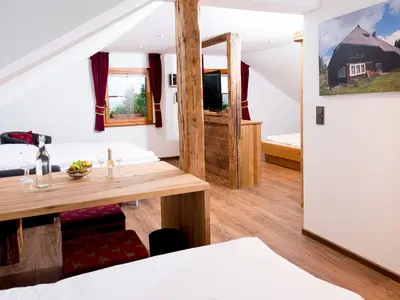 Wohnbereich mit Schlafcouch