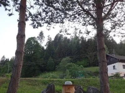 Suite für 3 Personen in Hermagor 6/10