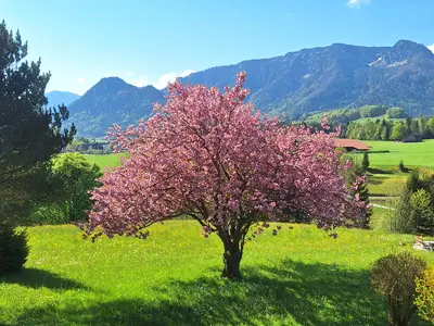 Ausblick Balkon Suite München