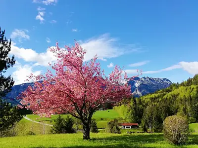 Aussicht