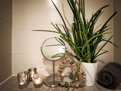 Suite für 4 Personen (46 m²) in Kelheim 5/6