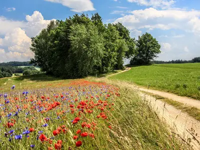 Suite für 2 Personen in Königstein 3/10