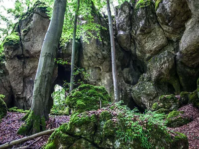 Suite für 2 Personen in Königstein 9/10