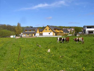 Suite für 3 Personen (41 m²) in Koserow (Seebad) 7/10