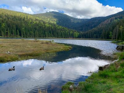 kleiner Arbersee