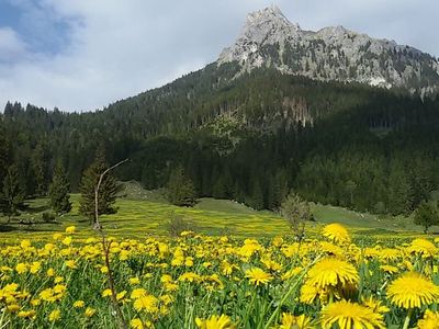 Suite für 5 Personen (45 m²) in Nesselwängle 10/10