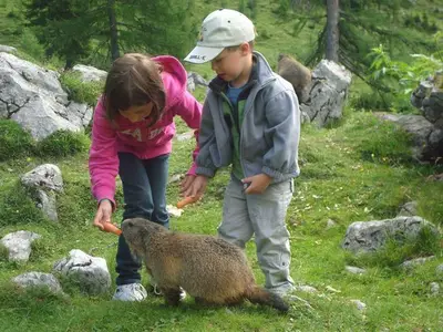 Suite für 4 Personen (35 m²) in Schladming 1/10