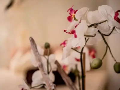 Suite für 3 Personen (60 m²) in Mondsee 3/10