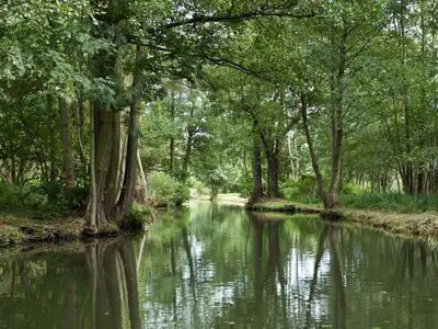 Suite für 2 Personen (59 m²) in Lübbenau/Spreewald 6/10