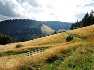 Suite für 4 Personen in Todtmoos 10/10