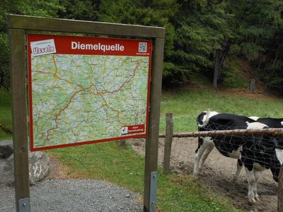 Suite für 4 Personen in Willingen (Upland) 9/10