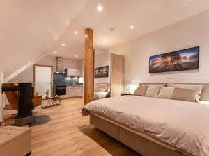 Studio mit kleinem Kaminofen im Zimmer