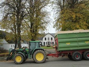 Lindenhof: Maissilage