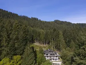 Vogelperspektive Vogelperspektive
