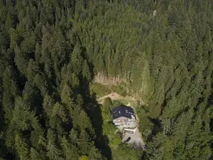 Vogelperspektive Vogelperspektive