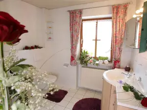 Helles Badezimmer mit viel Dusche und WC