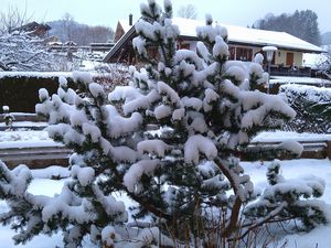 Winter vorm Haus