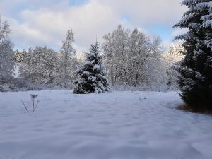 Landschaftsbild