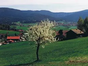 Ausblick Frühling