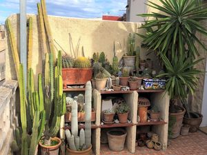 Teil der Terrasse - 1. Stock