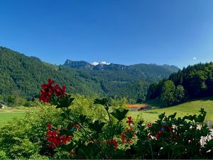 Ausblick der Ferienwohnung App23