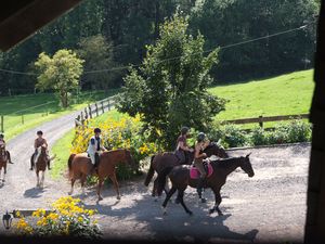 Ferienhof Pulte - Attendorn Sauerland