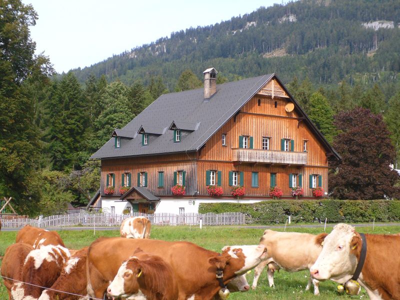 Unsere Traunmühle, Frontansicht, Bad Aussee