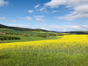 Wandern, Startpunkt Ferienwohnung Morgensonne am Kurpark von Bad Berka, Weimarer Land, Thüringen