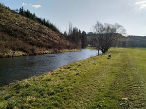 Berghausen Natur